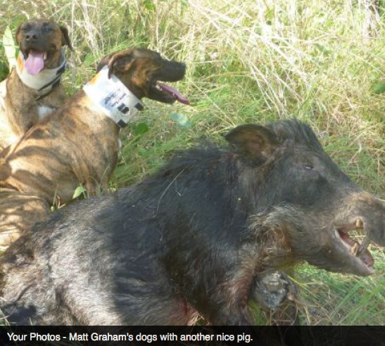 Screen Shot 2013-10-02 at 1.36.59 PM